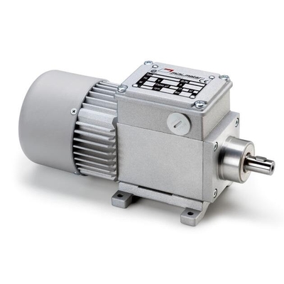 Mini Motor 齿轮电机 BCE2000 意大利进口